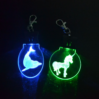 Customized Shape Acrylic Led Keyring, Keychain Flashlight and Logo Name Acrylic Led Keychain